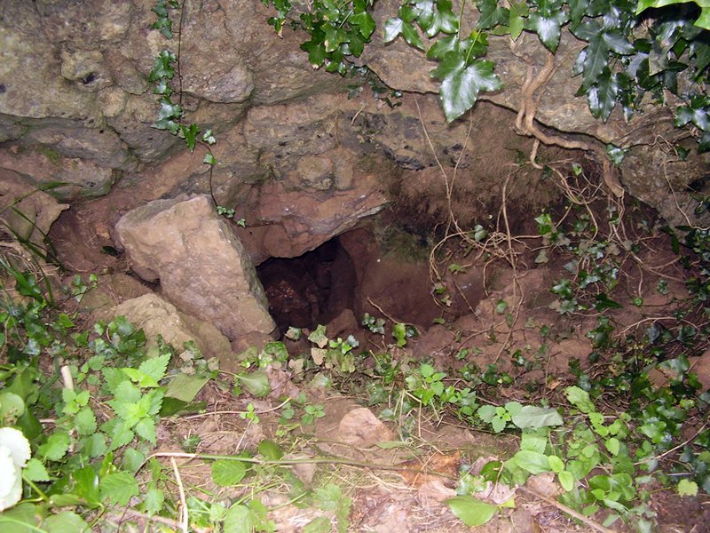 La Cueva de Vega de Anzo I (Septiembre 2010) - m_la_cueva_09 (0)