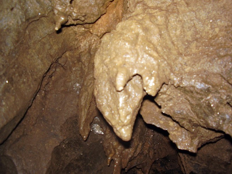 La Cueva de Vega de Anzo I (Septiembre 2010) - m_la_cueva_09 (14)