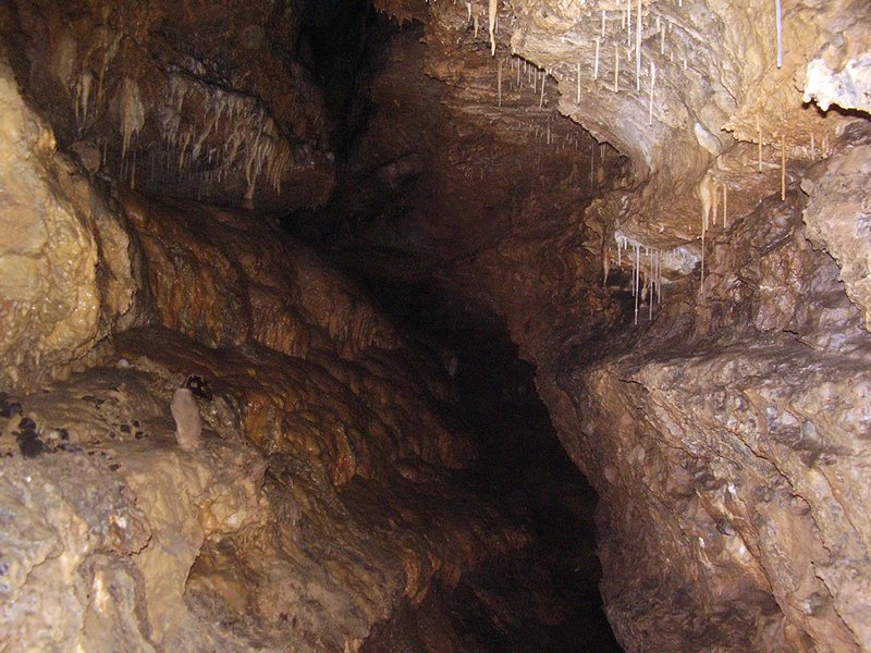 La Cueva de Vega de Anzo I (Septiembre 2010) - m_la_cueva_09 (21)