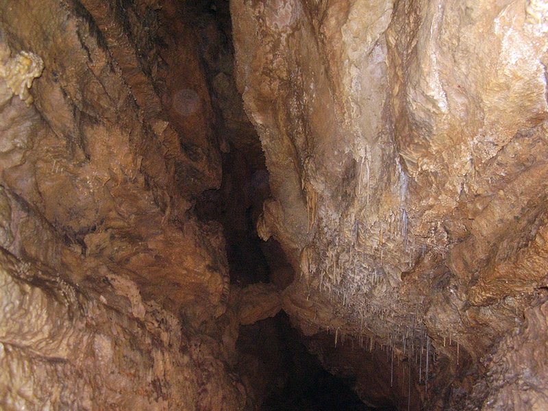 La Cueva de Vega de Anzo I (Septiembre 2010) - m_la_cueva_09 (26)