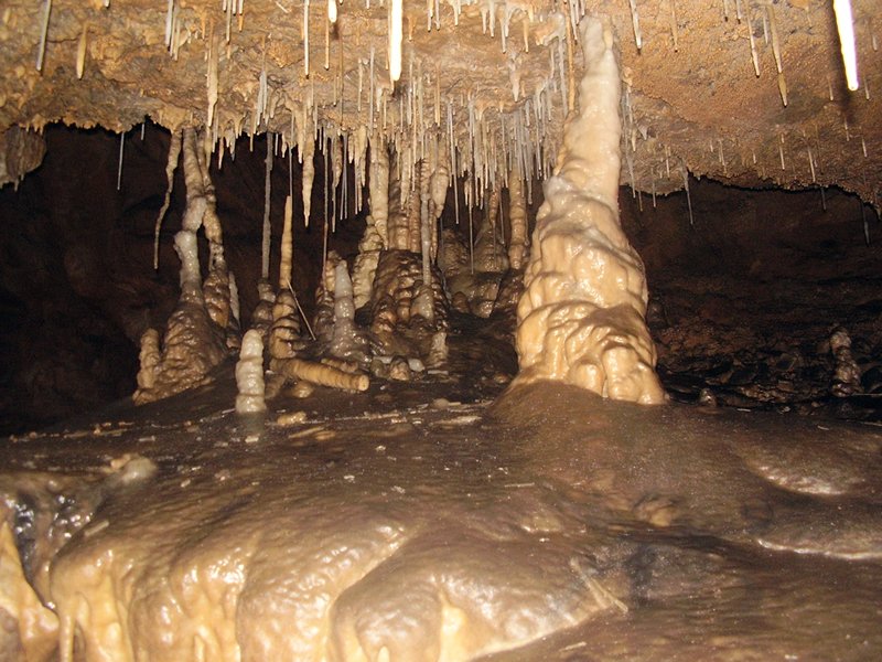 La Cueva de Vega de Anzo I (Septiembre 2010) - m_la_cueva_09 (33)