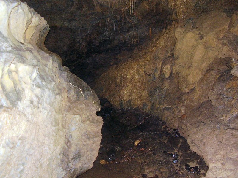 La Cueva de Vega de Anzo I (Septiembre 2010) - m_la_cueva_09 (34)