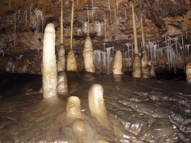 La Cueva de Vega de Anzo I (Septiembre 2010) - m_la_cueva_09 (35)