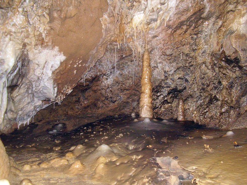 La Cueva de Vega de Anzo I (Septiembre 2010) - m_la_cueva_09 (41)