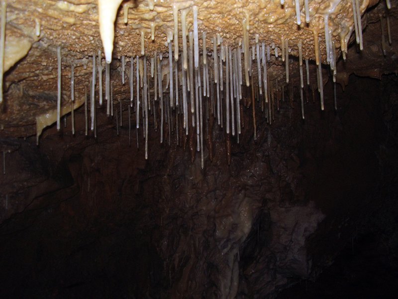 La Cueva de Vega de Anzo I (Septiembre 2010) - m_la_cueva_09 (42)