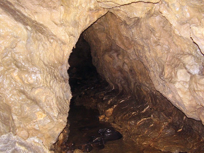 La Cueva de Vega de Anzo I (Septiembre 2010) - m_la_cueva_09 (46)