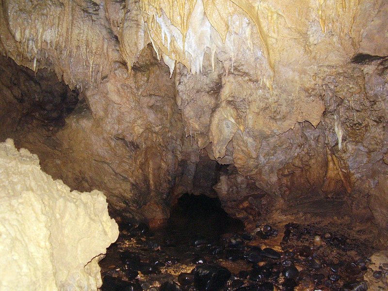 La Cueva de Vega de Anzo I (Septiembre 2010) - m_la_cueva_09 (47)