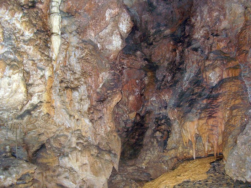 La Cueva de Vega de Anzo I (Septiembre 2010) - m_la_cueva_09 (48)