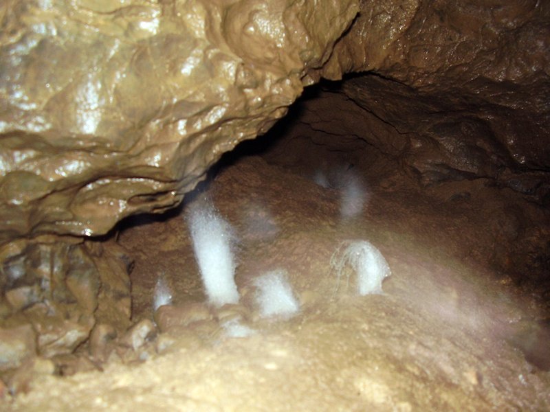 La Cueva de Vega de Anzo I (Septiembre 2010) - m_la_cueva_09 (7)