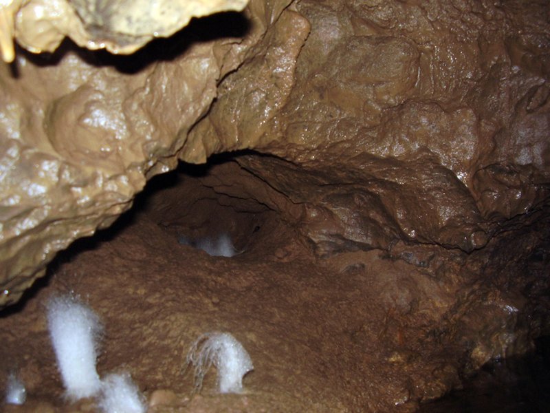 La Cueva de Vega de Anzo I (Septiembre 2010) - m_la_cueva_09 (8)