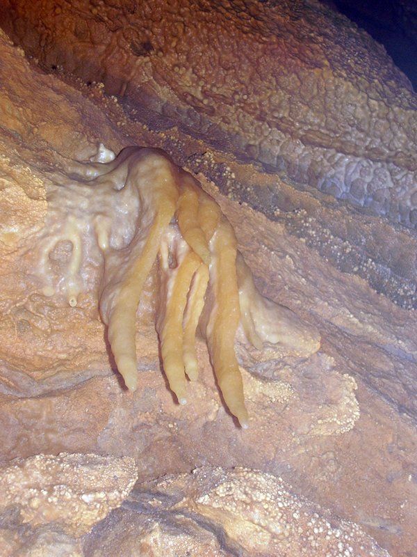 La Cueva de Vega de Anzo II (Septiembre 2010) - m_la_cueva_091025 (18)