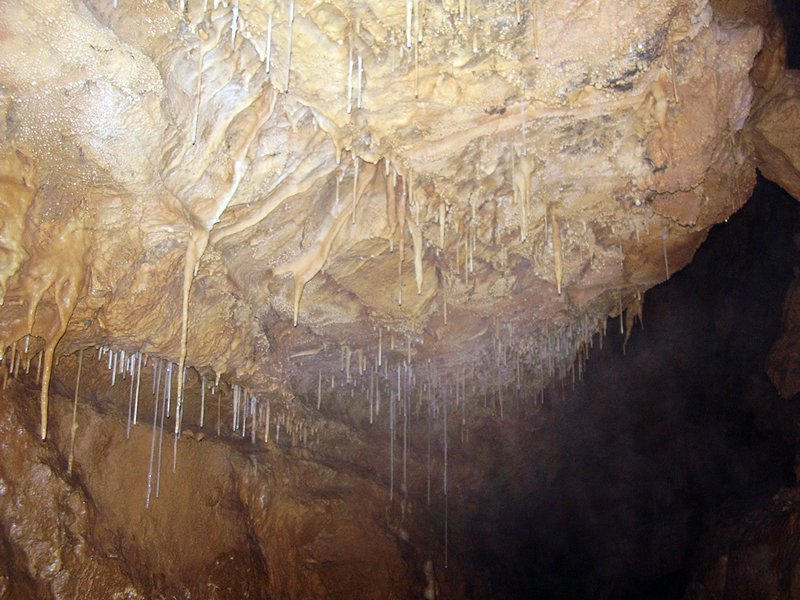 La Cueva de Vega de Anzo II (Septiembre 2010) - m_la_cueva_091025 (26)