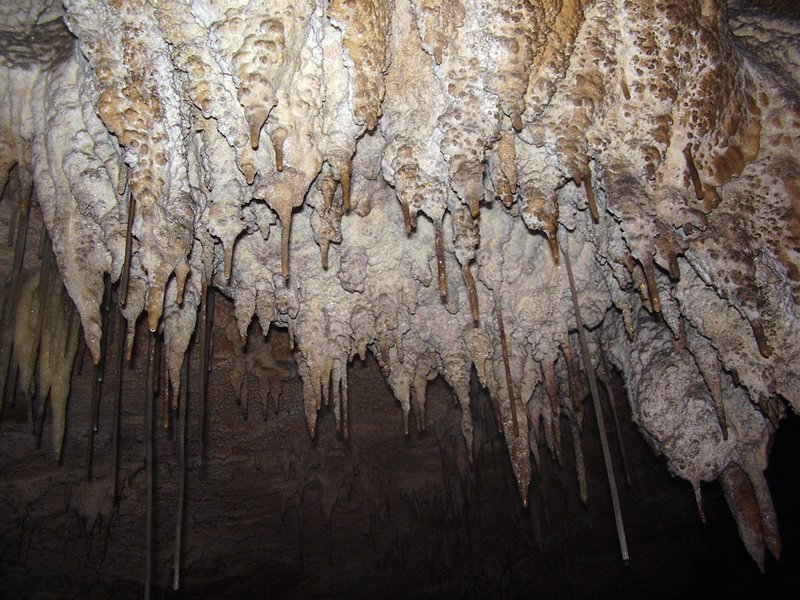 La Cueva de Vega de Anzo II (Septiembre 2010) - m_la_cueva_091025 (4)