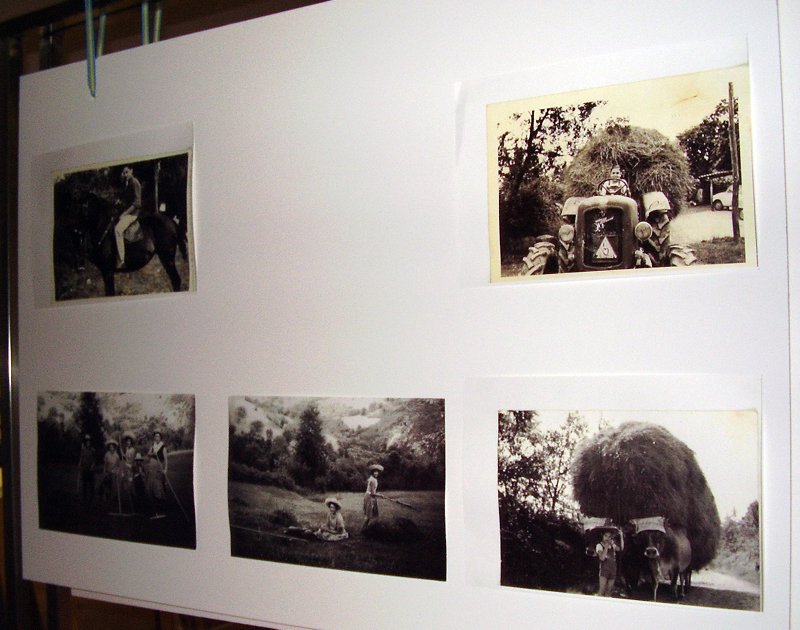 La exposición en imágenes - expo_18