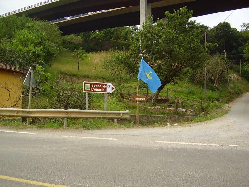 San Pedro 2008 - san_pedro_08_002