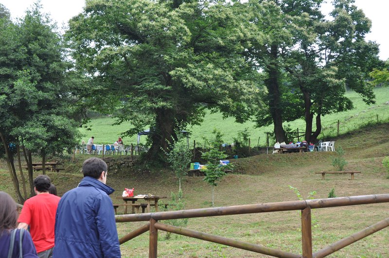 San Pedro 2010 - m_san_pedro_10 (1)