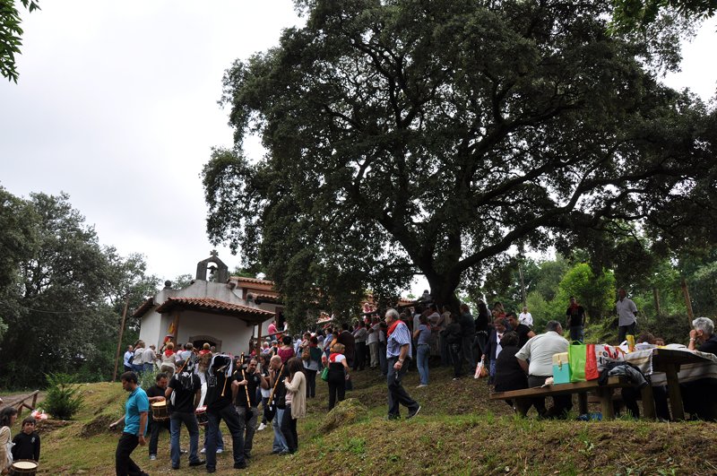 San Pedro 2010 - m_san_pedro_10 (100)