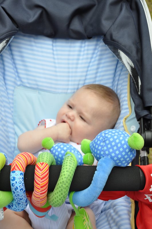 San Pedro 2010 - m_san_pedro_10 (132)