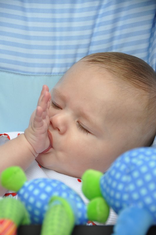 San Pedro 2010 - m_san_pedro_10 (133)