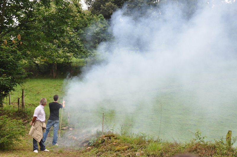 San Pedro 2010 - m_san_pedro_10 (24)