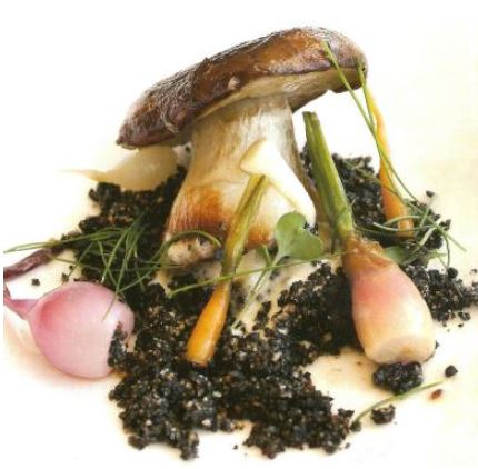 Miniatura de Setas, el mundo de las setas por Armando Álvarez