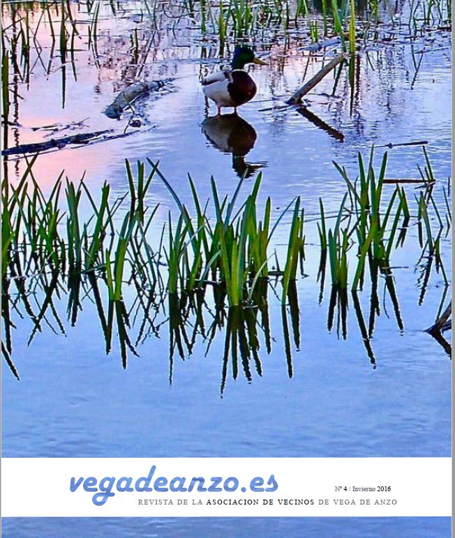 Miniatura de Revista, edición 2018